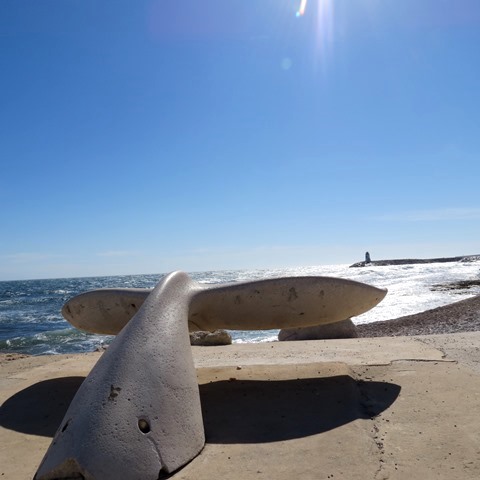Corniche plage de Sausset-les-Pins