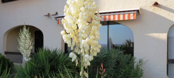 Location vacances Sausset, résidence les Rives d'Or