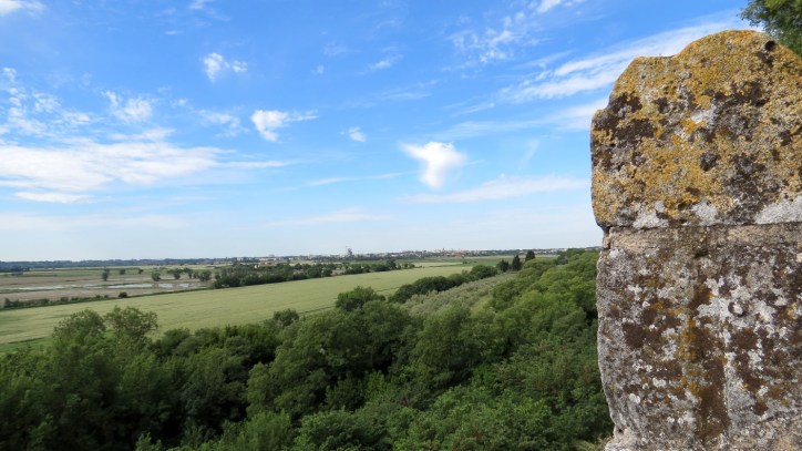 Location Sausset visite de l'abbaye de Montmajour
