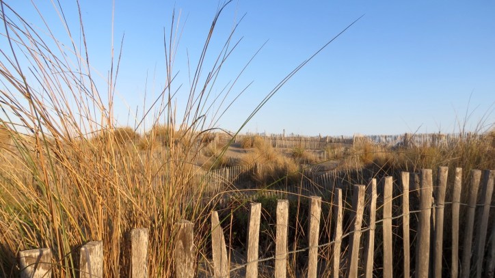 Location Sausset visite de la petite Camargue