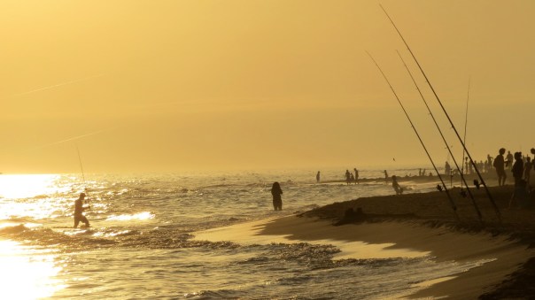 Location Sausset visite de la petite Camargue