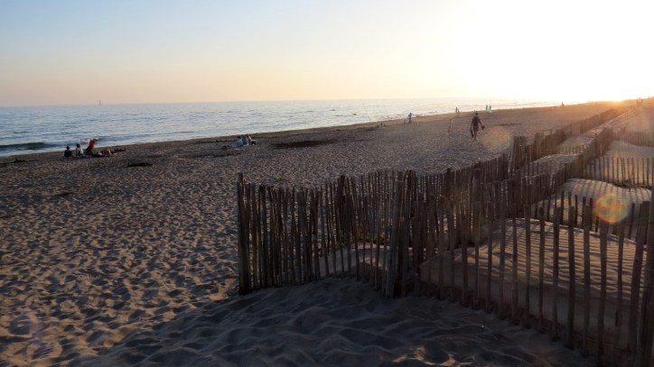 Location Sausset visite de la petite Camargue