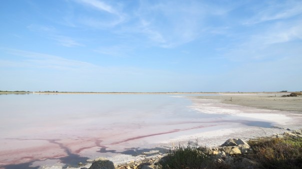 Location Sausset visite de la petite Camargue