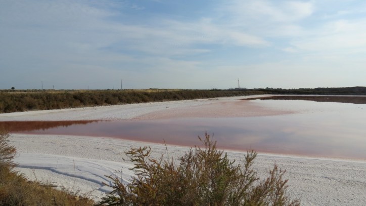 Location Sausset visite de la petite Camargue