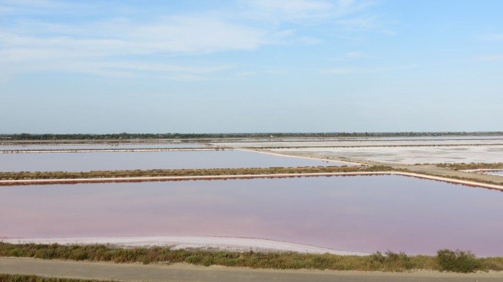 Location Sausset visite de la petite Camargue