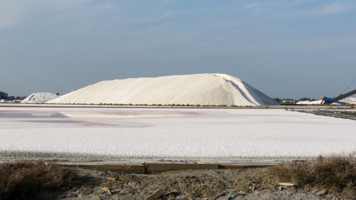 Location Sausset visite de la petite Camargue