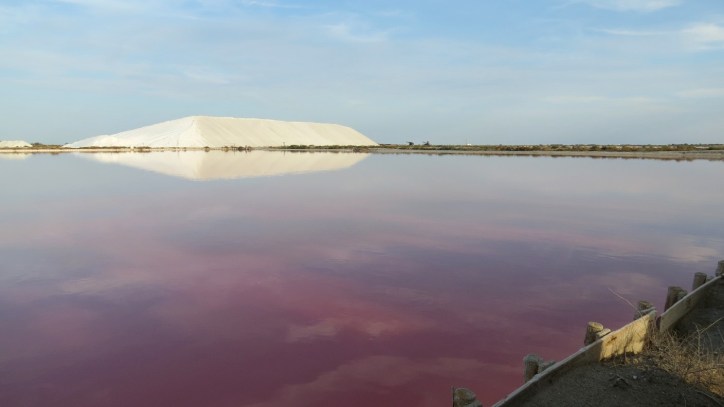Location Sausset visite de la petite Camargue