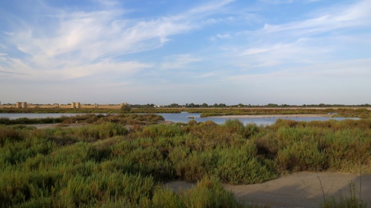 Location Sausset visite de la petite Camargue
