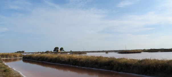 Location Sausset visite de la petite Camargue