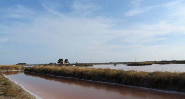 Location Sausset visite de la petite Camargue