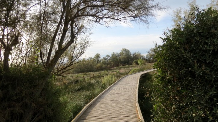 Location Sausset visite de la petite Camargue