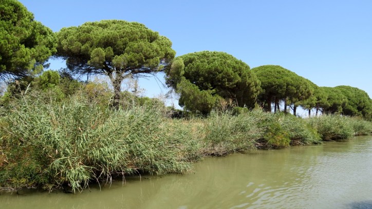 Location Sausset visite de la petite Camargue