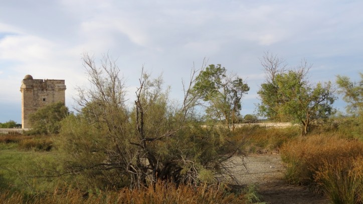 Location Sausset visite de la petite Camargue