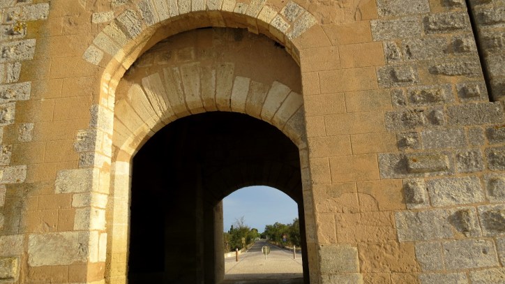 Location Sausset visite de la petite Camargue