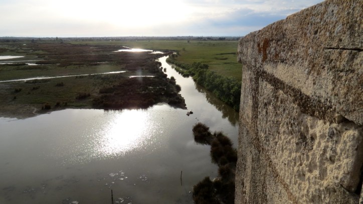 Location Sausset visite de la petite Camargue