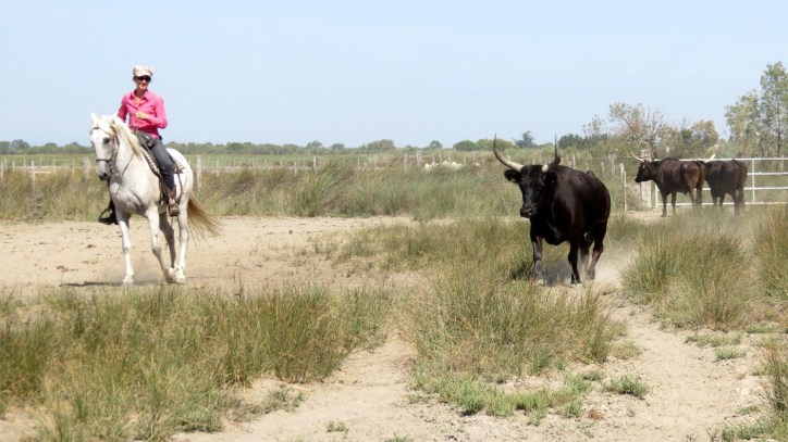 Location Sausset visite de la petite Camargue