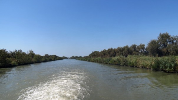 Location Sausset visite de la petite Camargue