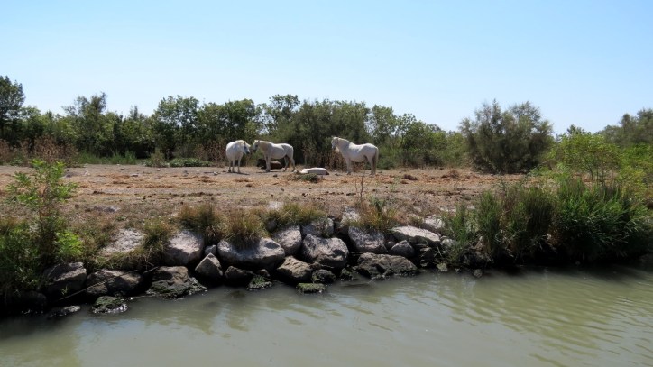 Location Sausset visite de la petite Camargue